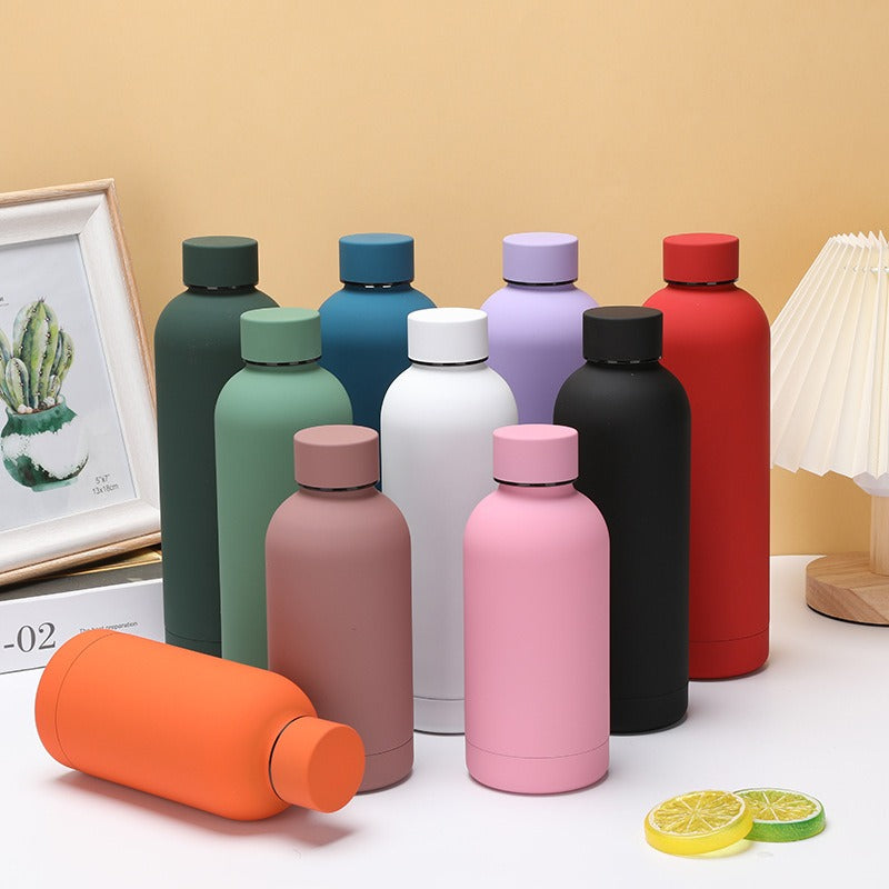 Stainless Steel Double-Wall Insulated Water Bottle