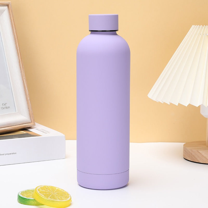 Stainless Steel Double-Wall Insulated Water Bottle