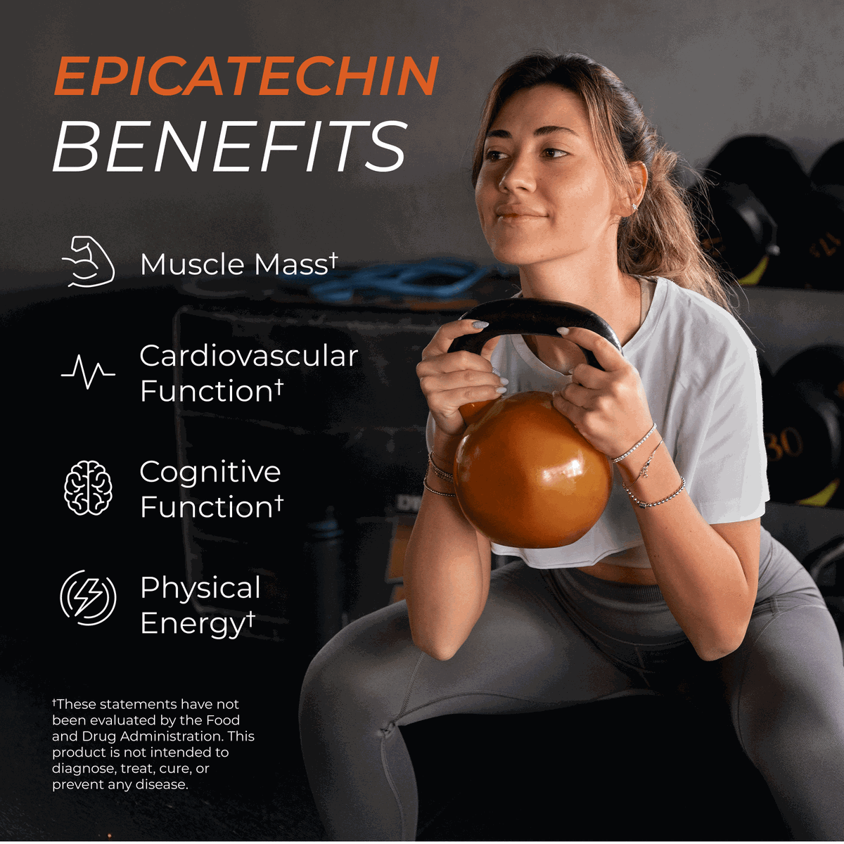 Epicatechin Dietary Supplement for Fitness and Wellness