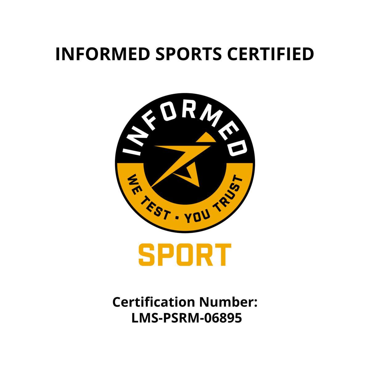 Plant Based Sport Protein Supplement