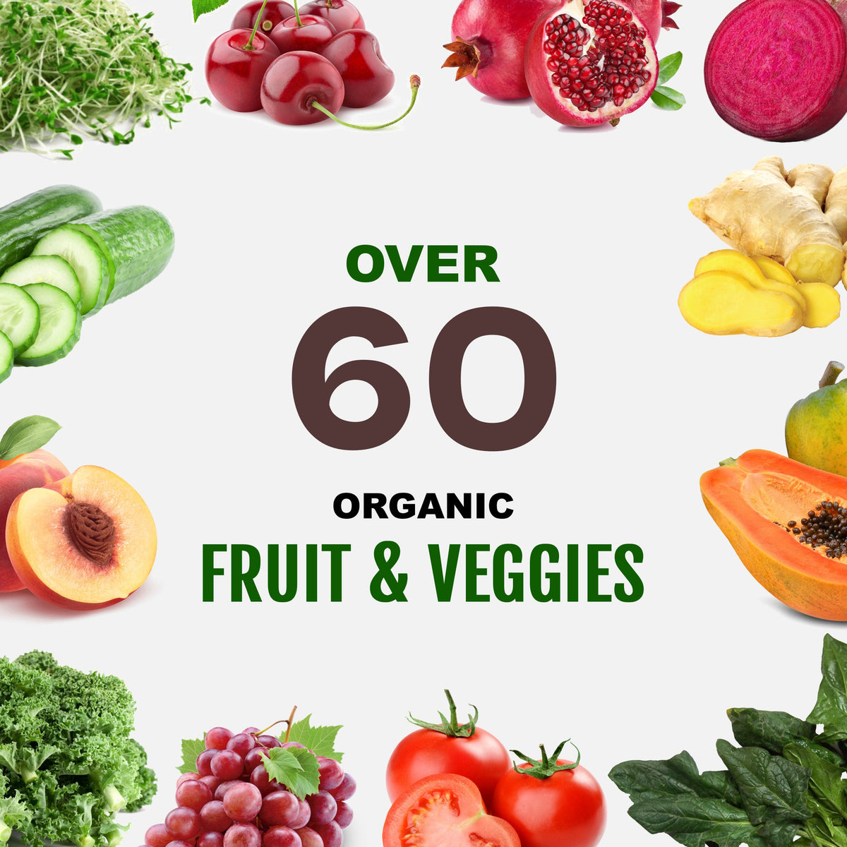 Plant Based Sport Protein Supplement