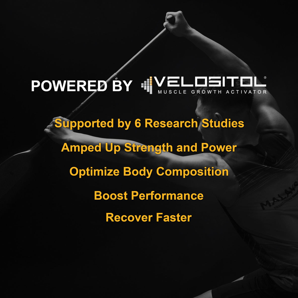 Plant Based Sport Protein Supplement