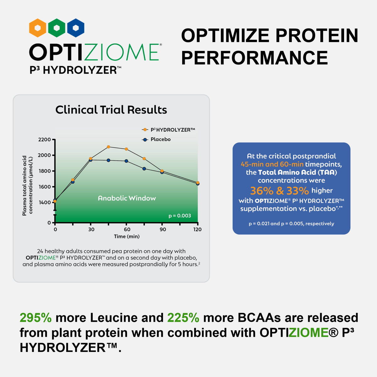 Plant Based Sport Protein Supplement