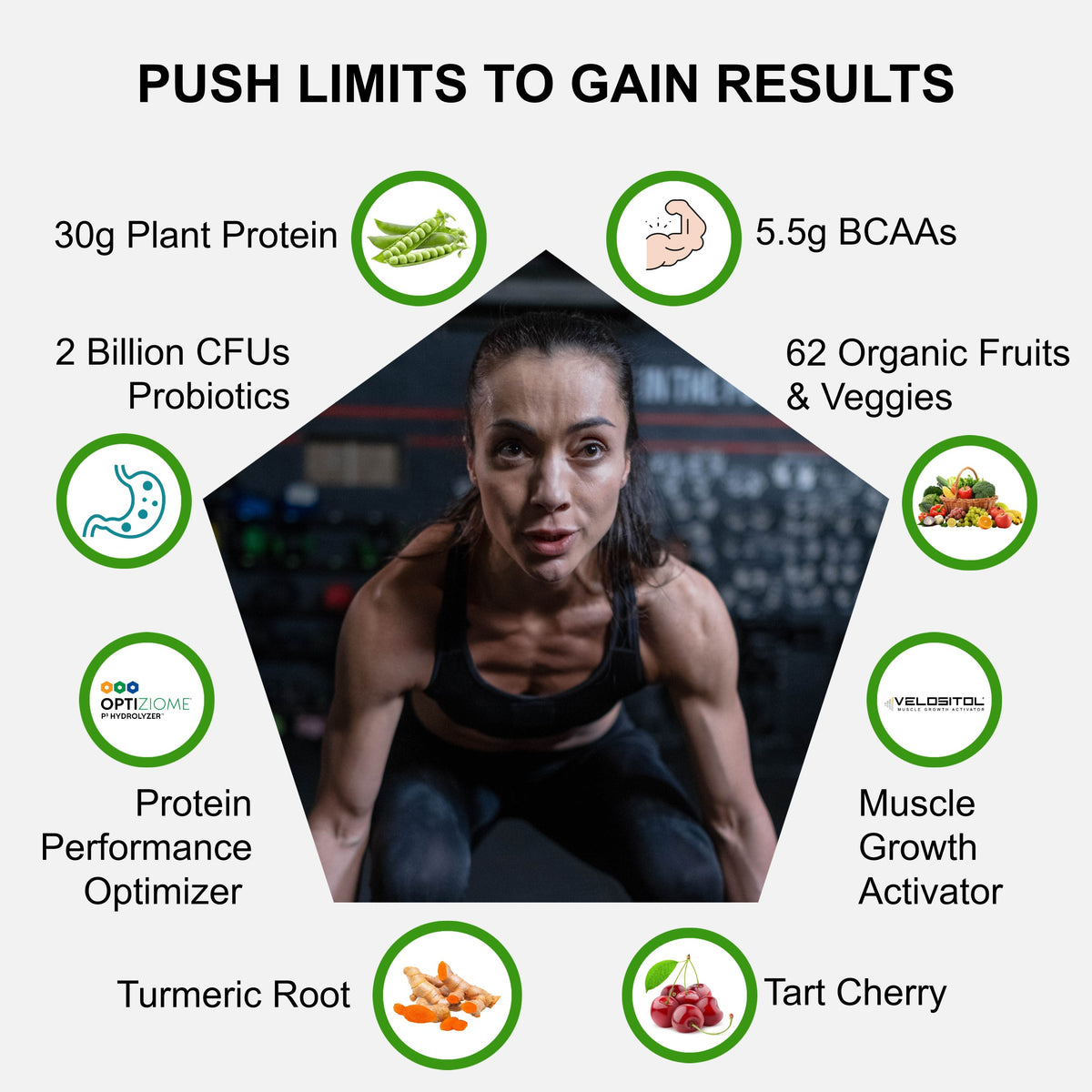 Plant Based Sport Protein Supplement